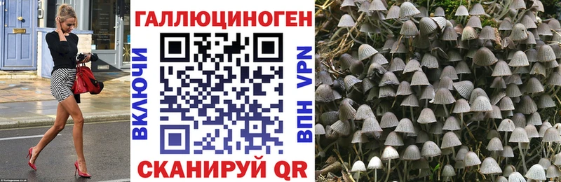 Псилоцибиновые грибы прущие грибы  Купить  Ярцево 